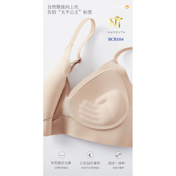 bcb104_1