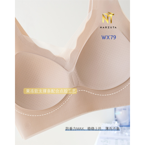 wx79_4