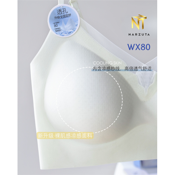wx80_1