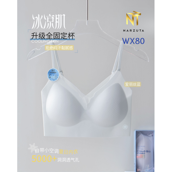 wx80_11
